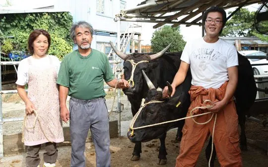 Daging Sapi Seharga Rp4,2 Juta Sekilo Bukan Fiksi. Ini Alasan Kenapa Kobe Beef Dihargai Semahal Itu 23