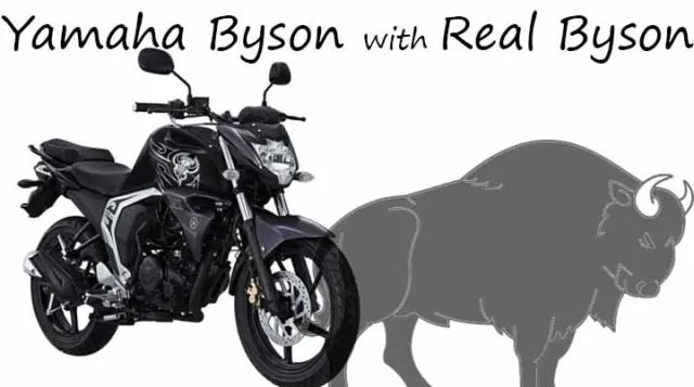 Sebenarnya Sah-sah Aja Cewek Mengendarai Motor Cowok. Tapi kok Sering Dianggap Cewek Nggak Bener Ya? 6