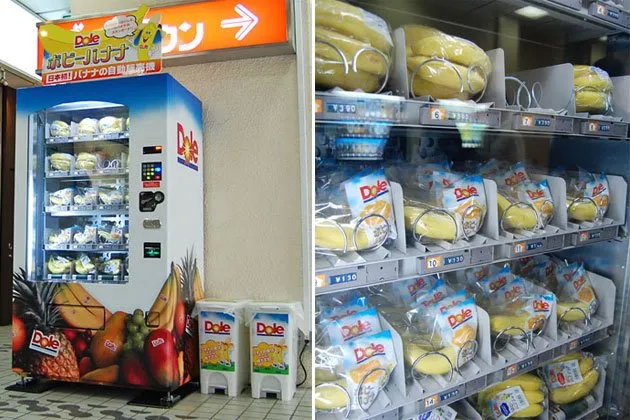 Nggak Cuma Jualan Soda, Semua Dijual Lewat Vending Machine di Jepang. Ini 18 Contoh Paling Gilanya 22
