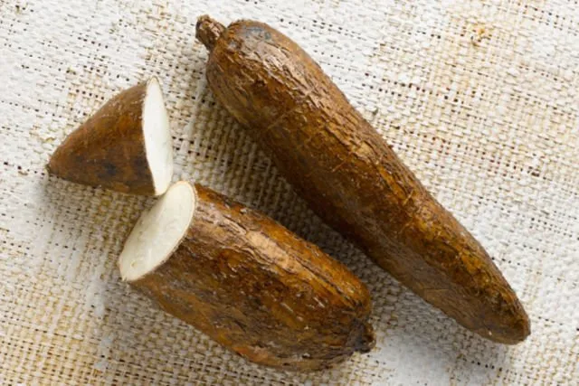 Hati-hati! Banyak yang Tak Sadar, 6 Makanan Ini Ternyata Punya Racun Alami yang Cukup Berbahaya Lho 6