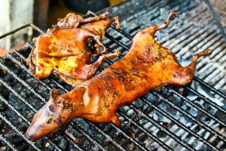 5 Makanan Ini Disukai Banget di Negaranya, Tapi Orang Luar Negeri Bakal Bilang, ’Ih Menjijikan!’ 8