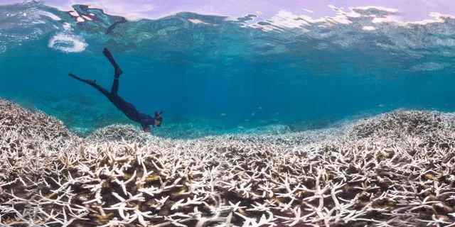 7 Cara Terakhir untuk Selamatkan Bumi dari Global Warming. Banyak yang Bilang Sudah Terlambat, 16