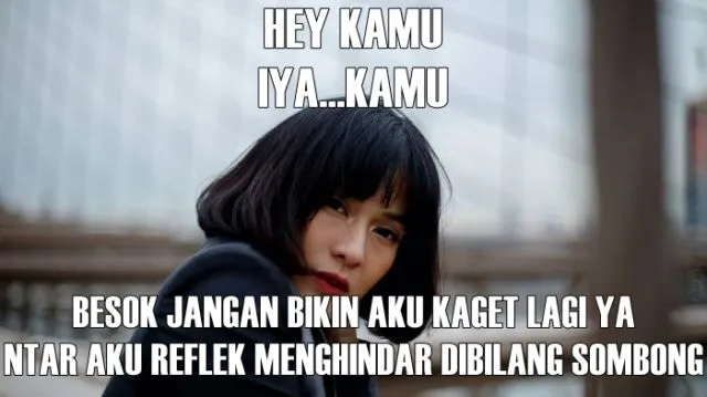 11 Meme ‘Pukpuk’ untuk Dian Sastro, Semoga Bisa Bikin Maaf-Maafan dengan Fans 16