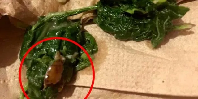 Pastikan Tiada ‘Mahkluk Asing’ Nyasar di Makanan yang Siap Kamu Santap. Kian Banyak Lho Kasus Begini 6
