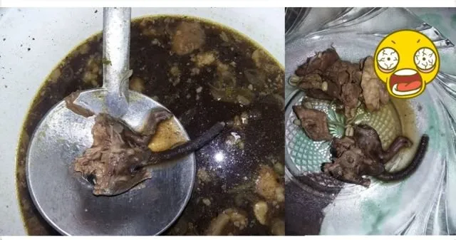 Pastikan Tiada ‘Mahkluk Asing’ Nyasar di Makanan yang Siap Kamu Santap. Kian Banyak Lho Kasus Begini 8