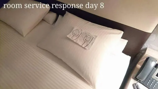 Kalau Bosan di Kamar Hotel, Kamu Bisa Meniru Traveller Ini. Bantal Guling Jadi Korban! 29