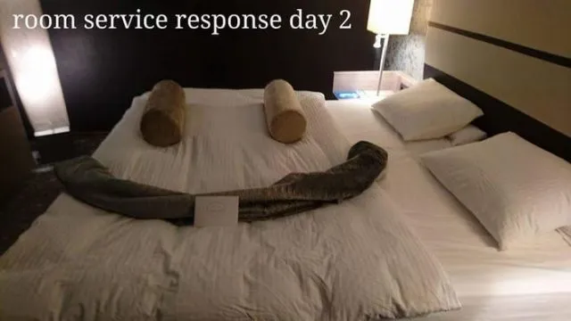 Kalau Bosan di Kamar Hotel, Kamu Bisa Meniru Traveller Ini. Bantal Guling Jadi Korban! 22
