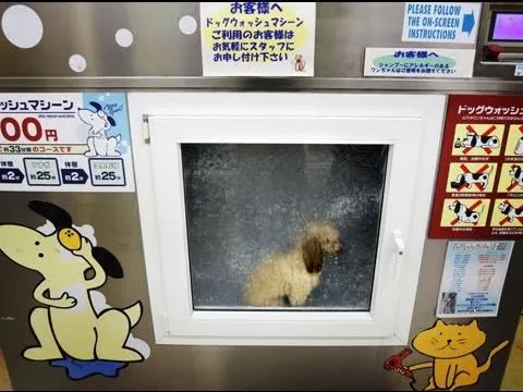 Nggak Cuma Jualan Soda, Semua Dijual Lewat Vending Machine di Jepang. Ini 18 Contoh Paling Gilanya 37