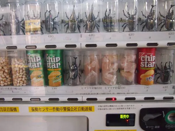 Nggak Cuma Jualan Soda, Semua Dijual Lewat Vending Machine di Jepang. Ini 18 Contoh Paling Gilanya 38
