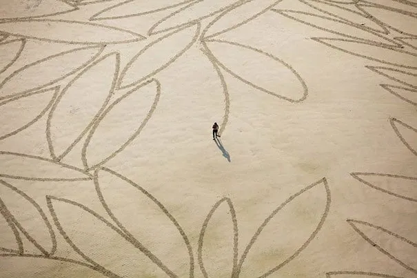 Hanya Berbekal Kayu dan Pasir Pantai, Seorang Pria Bisa Buat Lukisan Megah. Lihatlah 12 Karyanya Ini 17