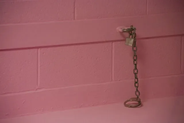 Beda dari Penjara yang Biasanya Suram dan Gelap, Penjara Swiss Ini Serba Pink. Unyu Banget! 6