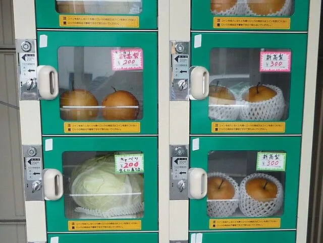 Nggak Cuma Jualan Soda, Semua Dijual Lewat Vending Machine di Jepang. Ini 18 Contoh Paling Gilanya 24