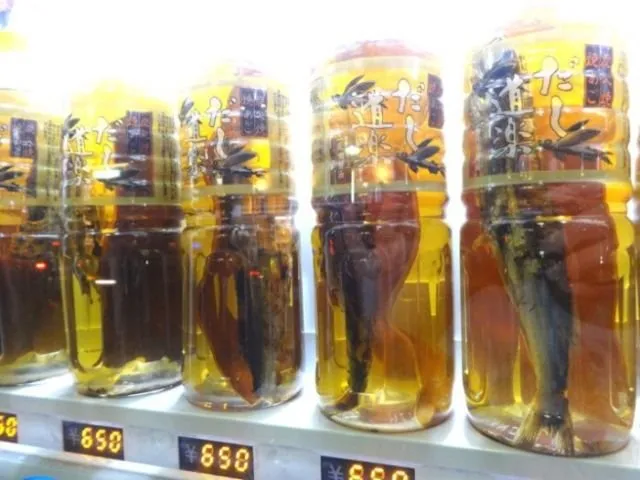 Nggak Cuma Jualan Soda, Semua Dijual Lewat Vending Machine di Jepang. Ini 18 Contoh Paling Gilanya 26