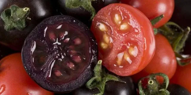 Buah & Sayur Ajaib Bentar Lagi Bakal Nge-tren! Lihat Deh 5 Tanaman Unik Hasil Rekayasa Genetik Ini 8