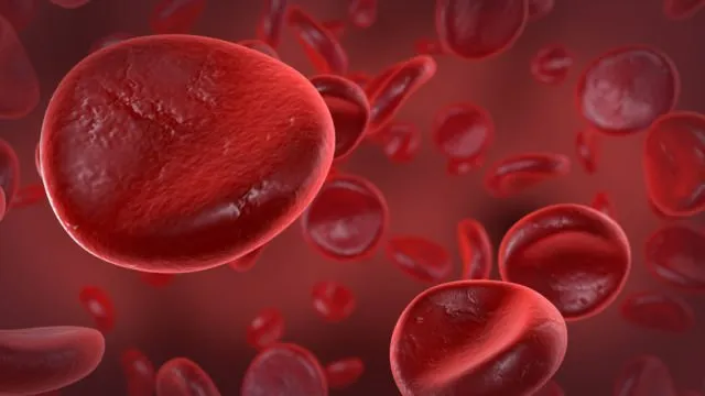 Bukan Lelucon, Memakai Kaus Kaki Isi Bawang Merah Punya Khasiat Mengejutkan 11