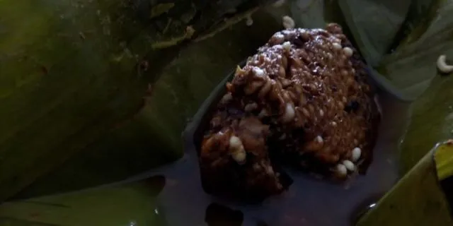 Ini 9 Alasan Manusia Harus Mulai Lebih Sering Makan Serangga! Ini Semua Demi Kebaikan Alam 15