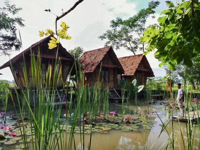 15 Destinasi Instagrammable dan Tersembunyi di Pelosok Jogja. Nyesel Kalau Nggak Main ke Sana! 28
