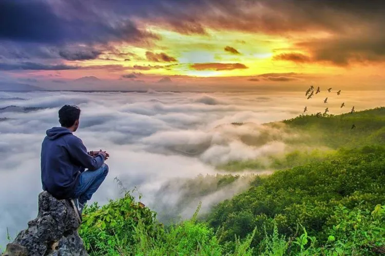 Daftar Wisata di Jogja yang Hits Terbaru, Wajib Diexplore 40