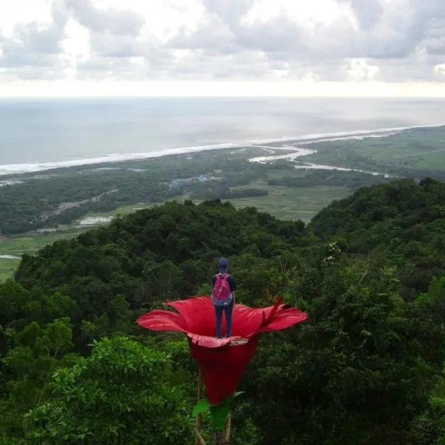 15 Destinasi Instagrammable dan Tersembunyi di Pelosok Jogja. Nyesel Kalau Nggak Main ke Sana! 20