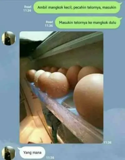Cewek Ini Ternyata Nggak Bisa Masak, Lalu Diajari Masak Telur Sama Cowoknya, Isi Chatnya Bikin Gemas 23