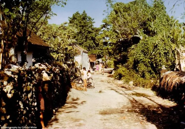 Parade Foto Bali Tempo Doeloe Sebelum Dipenuhi Wisatawan. Wah Adem Banget ya Suasananya! 17