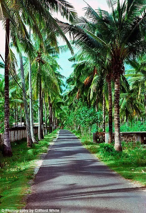 Parade Foto Bali Tempo Doeloe Sebelum Dipenuhi Wisatawan. Wah Adem Banget ya Suasananya! 21