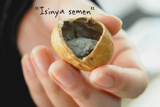 Bukan Cuma Telur, 10 Makanan Ini Juga Udah Sering Dipalsukan di Cina. Wah Makanan Aja Ada KW-nya 14