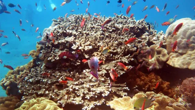 10 Surga Tersembunyi di Bali yang Pesonanya Luar Biasa. Segeralah Berlibur Bersama Pasangan ke Sana! 12