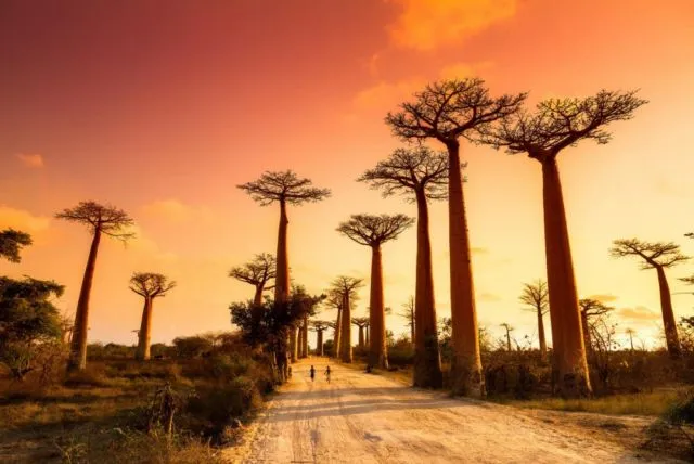 17 Foto Menakjubkan dari Seluruh Dunia yang Terlihat Seperti dari Planet Lain. Keren Banget Sih Ini! 32