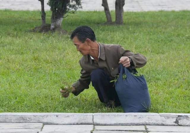 9 Kekejaman Rezim Korut yang Baru Tersingkap. Ternyata di Sana Nasi Putih Itu Kemewahan Tak Terkira 10