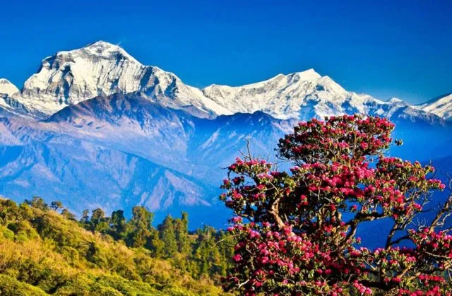 Tahu Negara Bhutan? Jarang Didatangi Sebenarnya, Tapi Biaya Travelingnya Sampai 2,6 Juta Per Hari :( 5