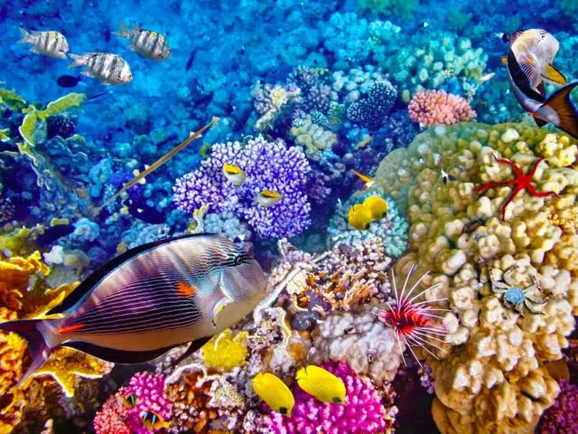 10 Destinasi Wisata yang Bakal Lenyap Dari Muka Bumi. Kunjungilah Sebelum Benar-benar Tinggal Sejarah! 13