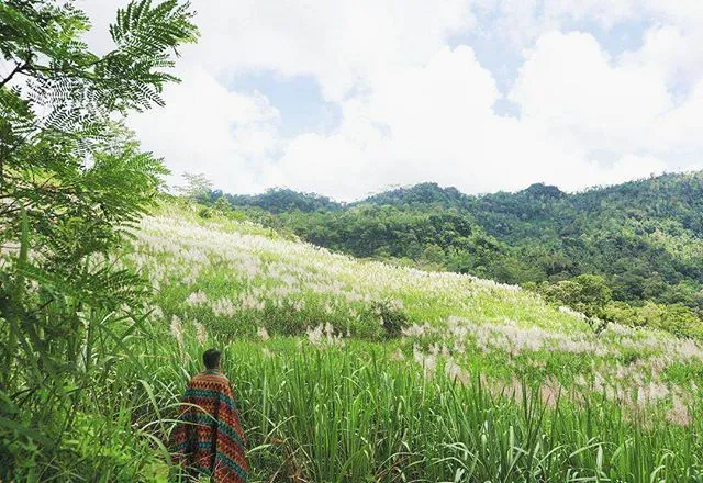 15 Destinasi Instagrammable dan Tersembunyi di Pelosok Jogja. Nyesel Kalau Nggak Main ke Sana! 17