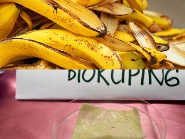 Wow! Demi Atasi Masalah Lingkungan, Mahasiswa Brawijaya Bikin Plastik Berbahan Kulit Pisang 6