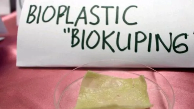 Wow! Demi Atasi Masalah Lingkungan, Mahasiswa Brawijaya Bikin Plastik Berbahan Kulit Pisang 5
