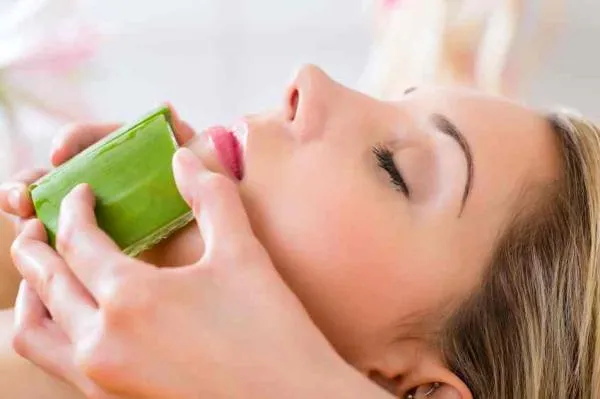 Selain Merawat Rambut, Lidah Buaya Punya 9 Khasiat Lain yang Belum Banyak Orang Tahu 16