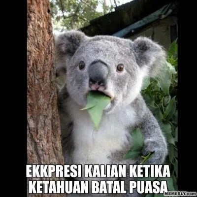 17 Meme Kocak Batal Puasa yang Pasti Bikin Kamu Ngakak, Kecuali Kamu Udah Pernah Ngelakuin Juga :) 18