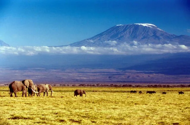 10 Destinasi Wisata yang Bakal Lenyap Dari Muka Bumi. Kunjungilah Sebelum Benar-benar Tinggal Sejarah! 15