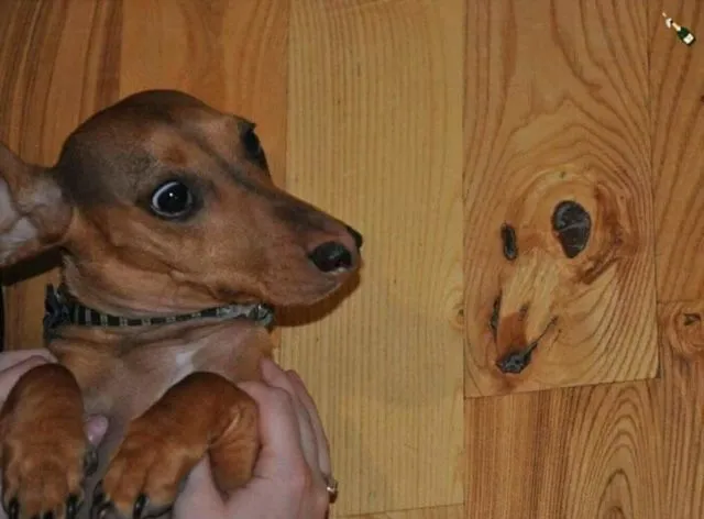 15 Foto Ini Bikin Kamu Berimajinasi Sendiri? Itulah yang Namanya Pareidolia, Sering Terjadi ‘Kan? 17