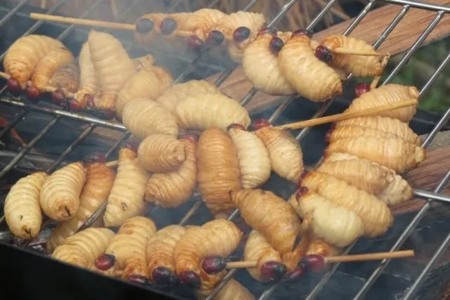 Ini 9 Alasan Manusia Harus Mulai Lebih Sering Makan Serangga! Ini Semua Demi Kebaikan Alam 12