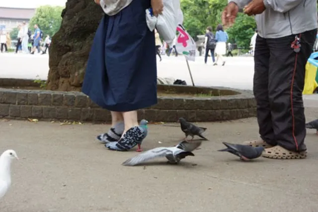 Wanita Ini Jadi Heboh Karena Dikira Menginjak-injak Merpati, Ternyata Ini Cara Bikin Sepatu Unik Itu! 12
