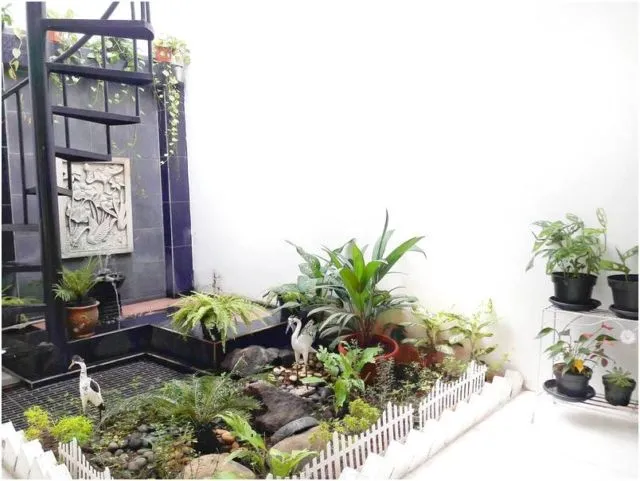 Meski Lahan Sempit, Bukan Berarti Rumah Mungil Tak Bisa Punya Taman. Ini dia 7 Inspirasinya 11