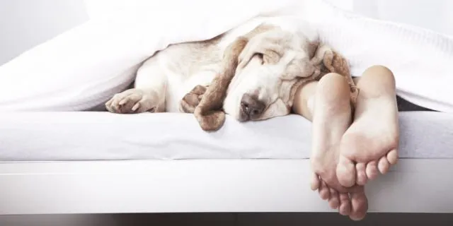 Biar Nggak Kayak Zombie, 8 Trik Ini Bikin Kamu Jadi Gampang Tidur dan Nggak Insomnia Lagi 12