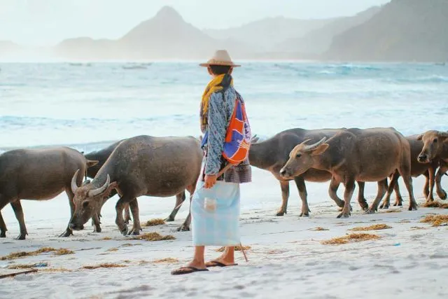 Ini Nih 7 Destinasi Hits di Lombok untuk Liburan Lebaran. Keindahan Alam yang Tak Bisa Kamu Dustakan! 12