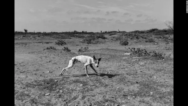Kelaparan Tak Hanya Terjadi di Afrika. Lihatlah 14 Potret Pilu dari Negara yang Sedang Kelaparan Ini 22