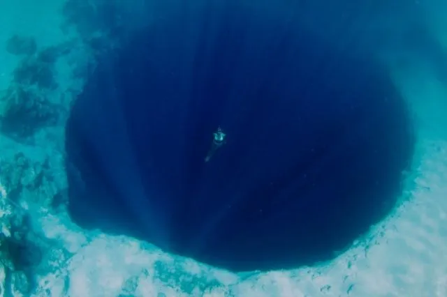 15 Foto yang Akan Membuatmu Berpikir Dua Kali Untuk Berenang Di Laut. Ngeri Juga ya Ternyata! 17