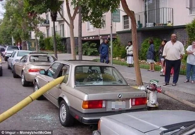 12 Foto Parkir Mobil Sembarangan yang Bikin Kesel. Begini Cara Ngerjain Mereka Biar Kapok! 23