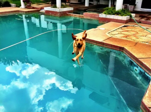 15 Foto Menakjubkan yang Diambil Dalam Momen yang Sangat Tepat! Keren Banget Sih Ini 17