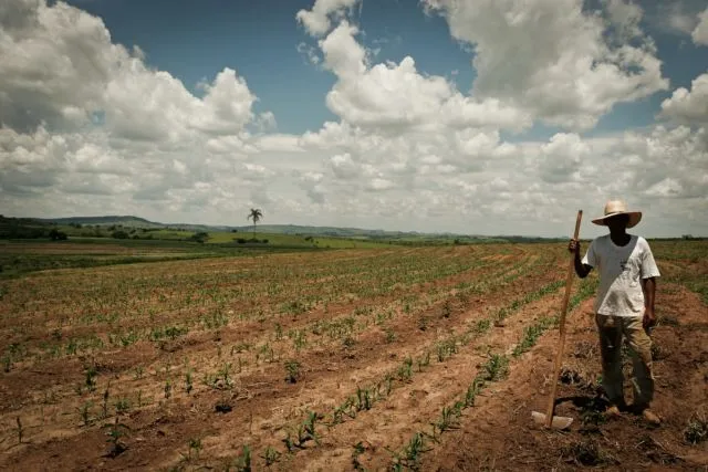Reforma Agraria Sedang Dikebut. Ini 7 Info Soal Lahan Gratis yang Bakal Dibagikan Pemerintah 10
