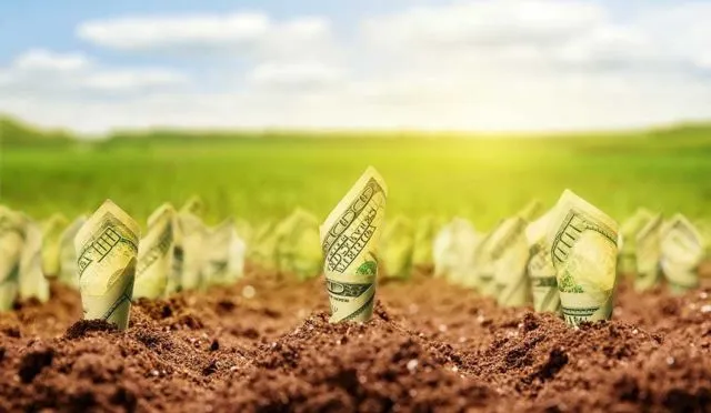 Reforma Agraria Sedang Dikebut. Ini 7 Info Soal Lahan Gratis yang Bakal Dibagikan Pemerintah 12